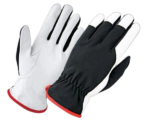 Gloves1