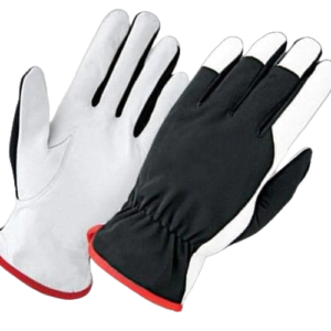 Gloves1