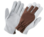 Gloves5