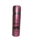 Stainless steel water bottle