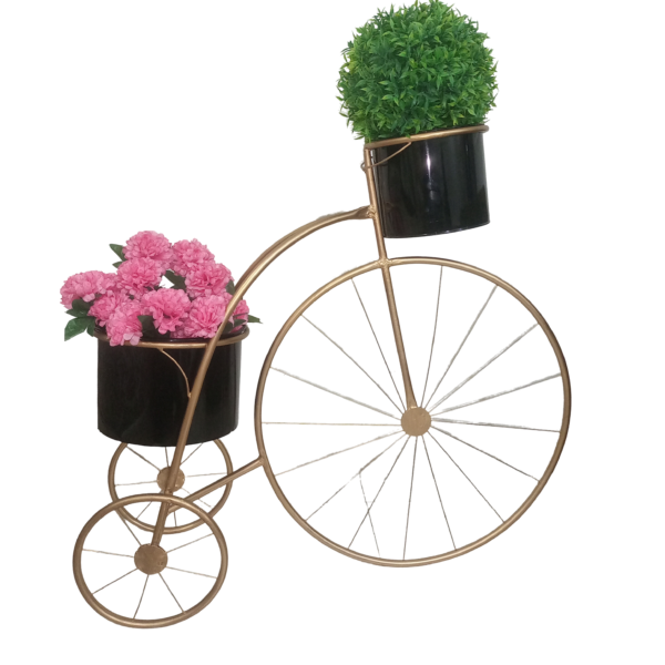 Decorative Tricycle Plant Holder